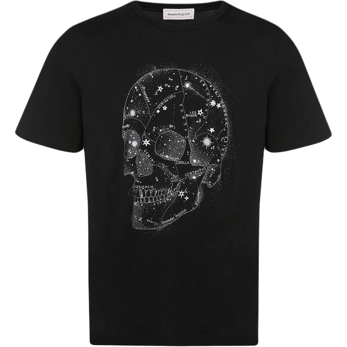 Alexander McQueen FW22 T