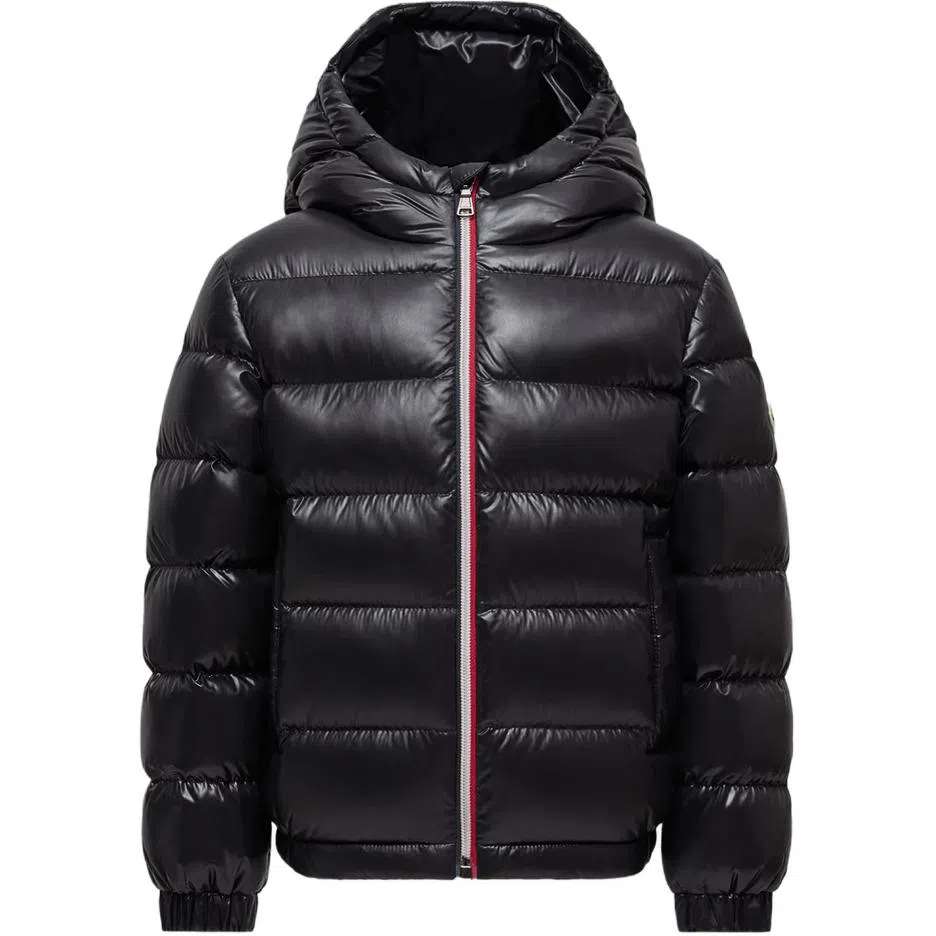 Moncler New Aubert Hooded Down Jacket