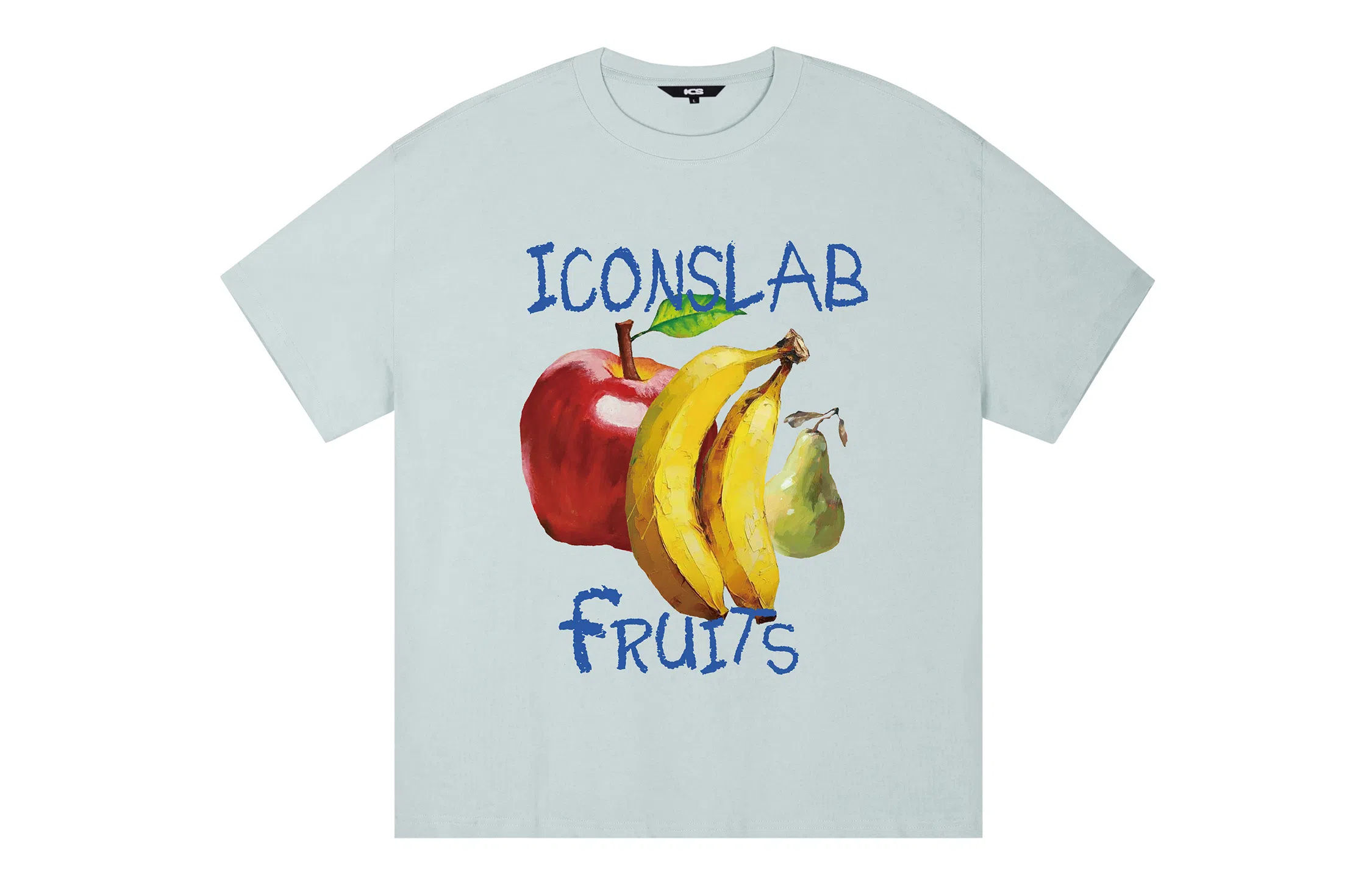 ICONS Lab ICS T