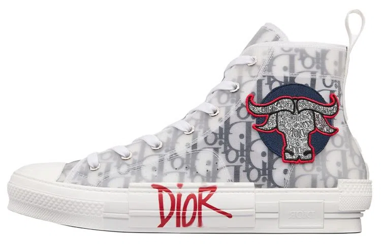 DIOR B23