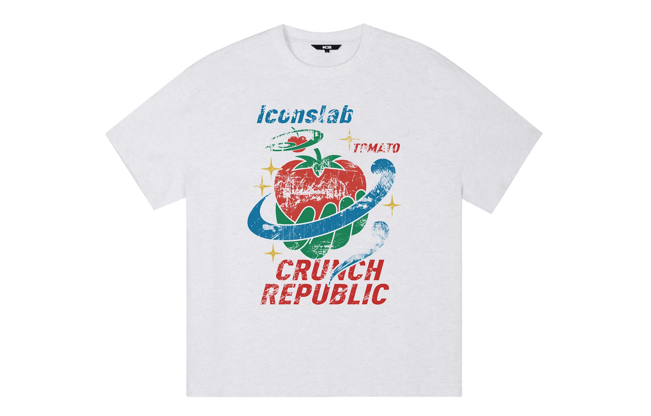 ICONS Lab ICS T
