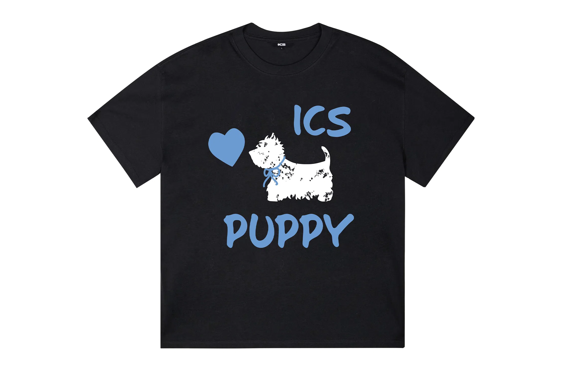 ICONS Lab ICS T