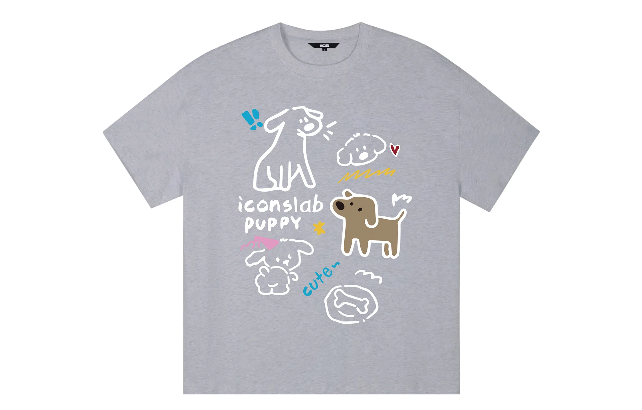 ICONS Lab T