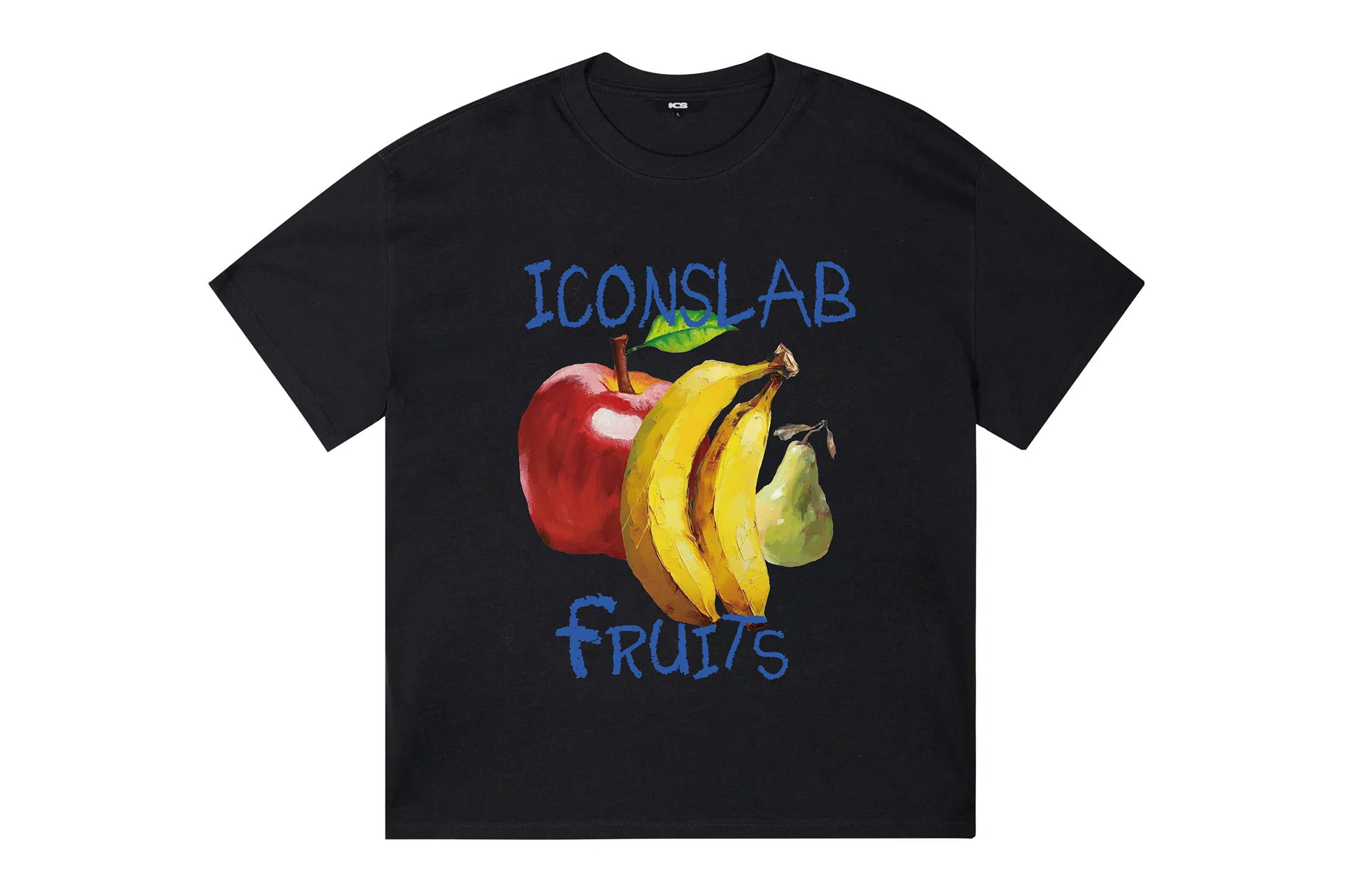 ICONS Lab ICS T