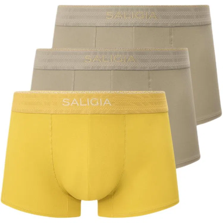 SALIGIA 140S 3