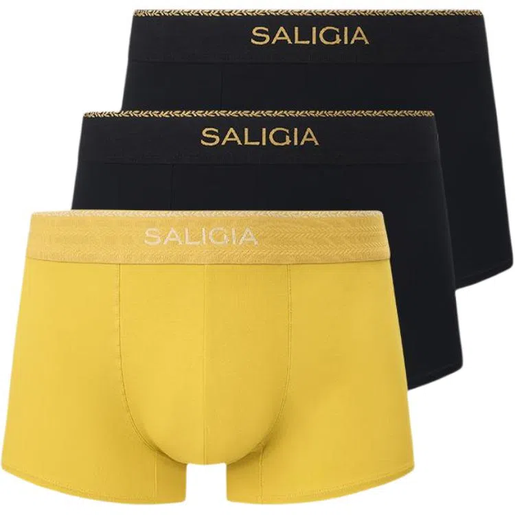 SALIGIA 140S 3