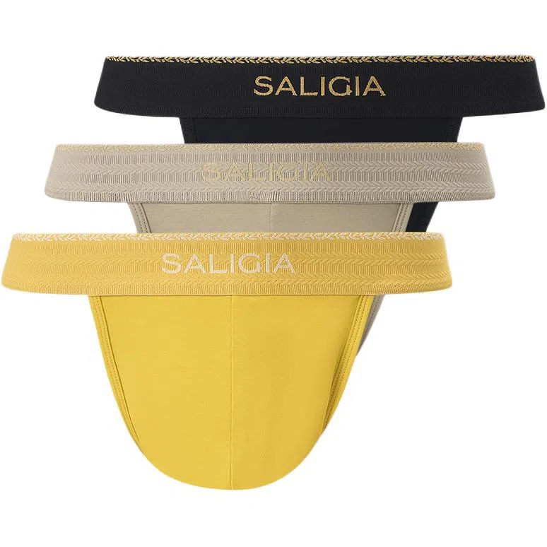 SALIGIA 140S 3