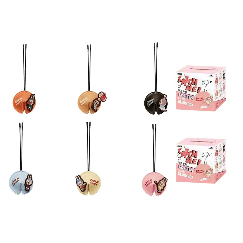 POP MART THE MONSTERS Catch Me If You Like Me 6