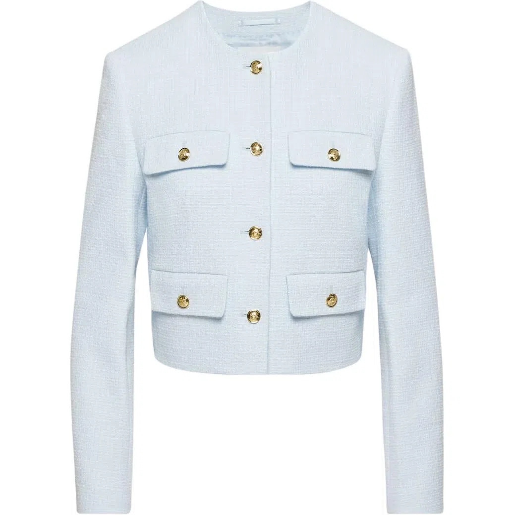 ARITZIA Babaton Anchor Jacket