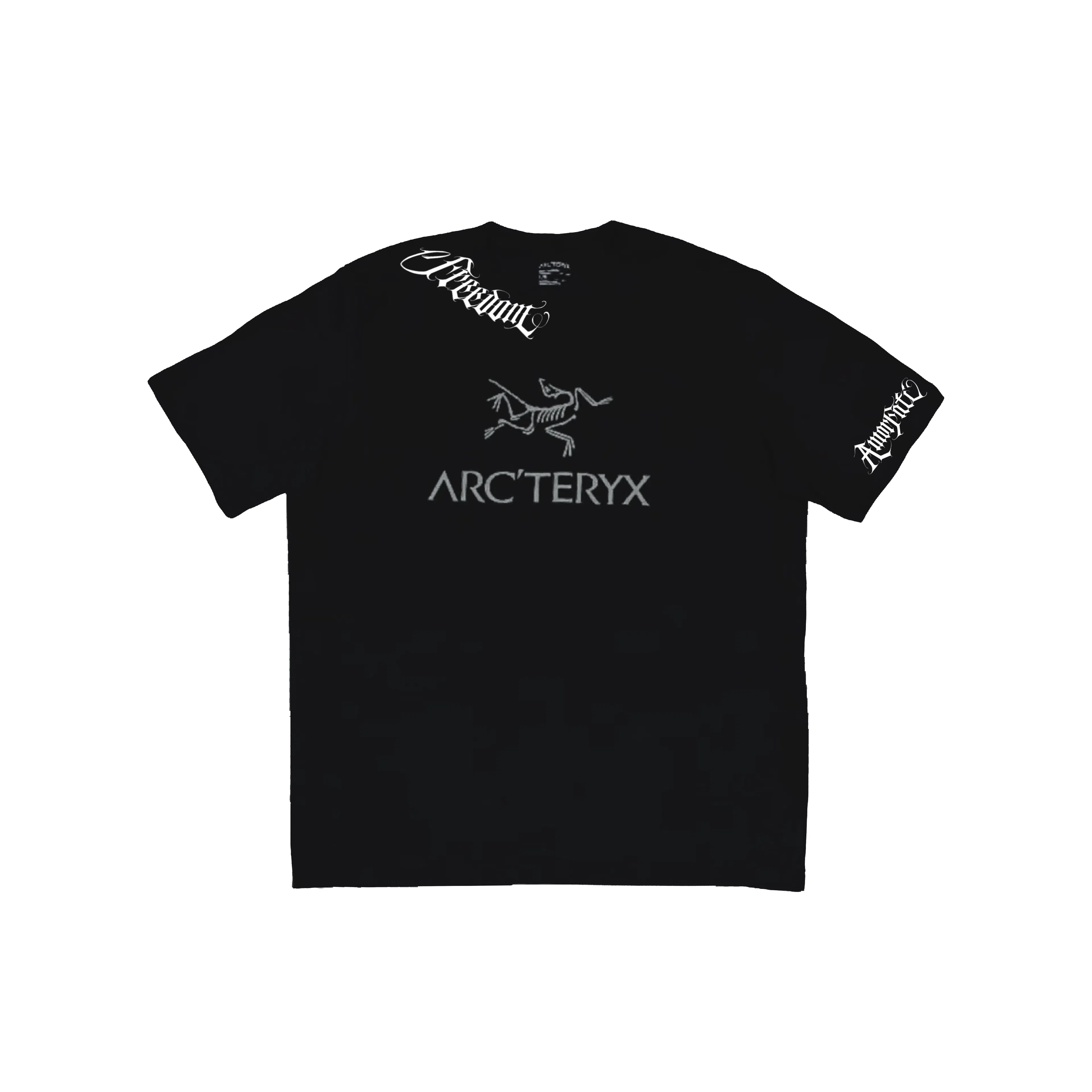 Arcteryx logoT