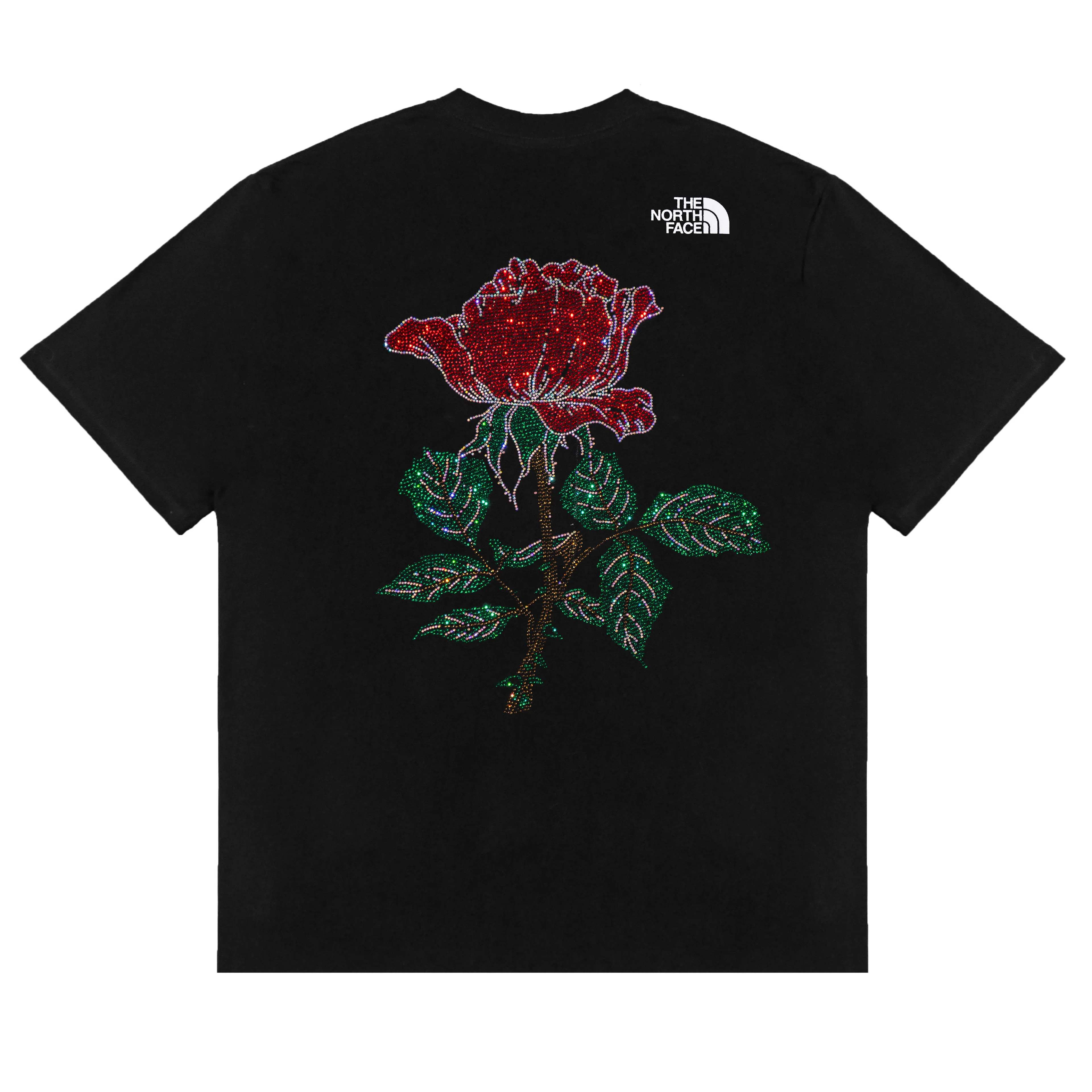 THE NORTH FACE Extraordinary T