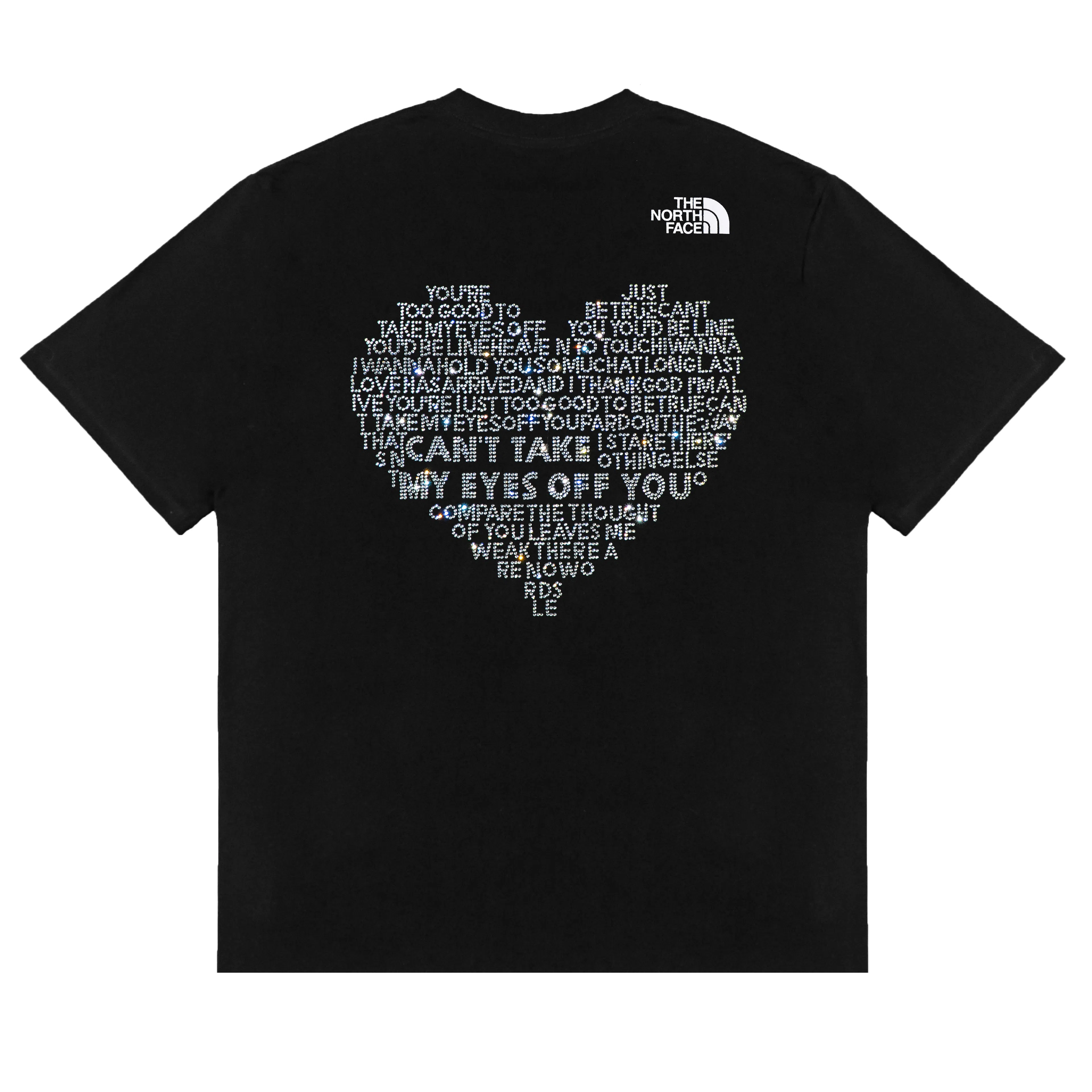 THE NORTH FACE Extraordinary logoT