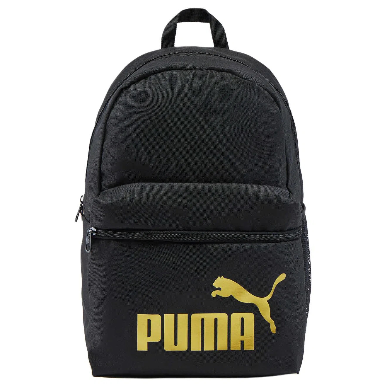 PUMA 16L Logo
