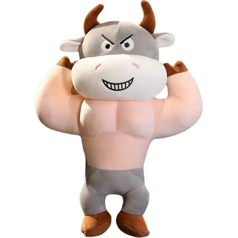 36cm56cm