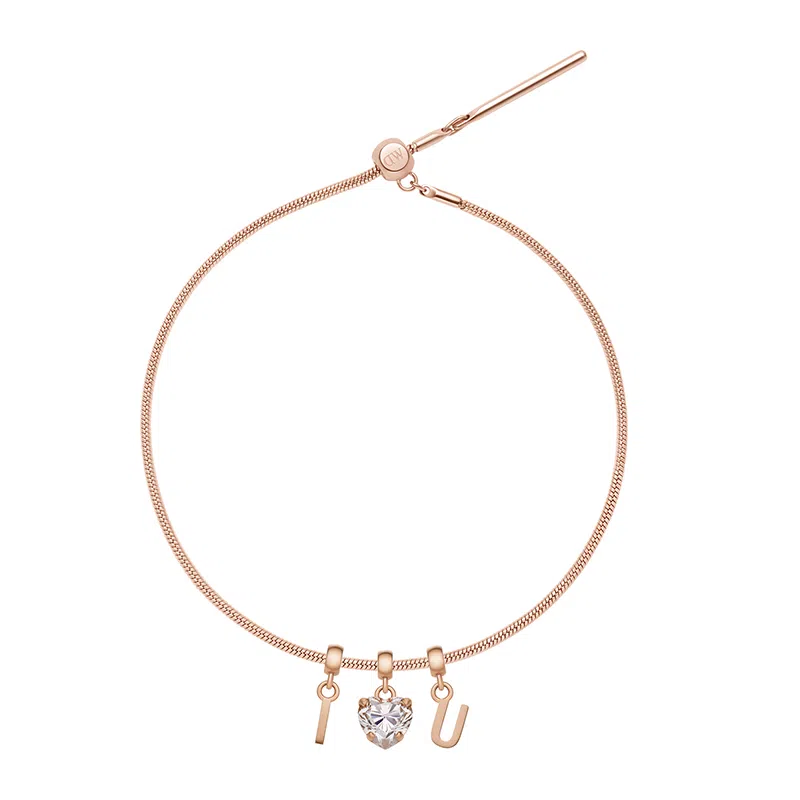 Daniel Wellington CHARMS CHARMS DW