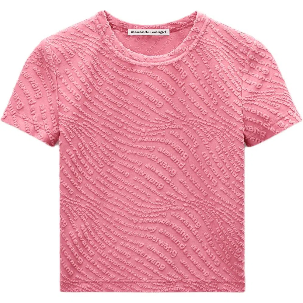 alexander wang SS25 T