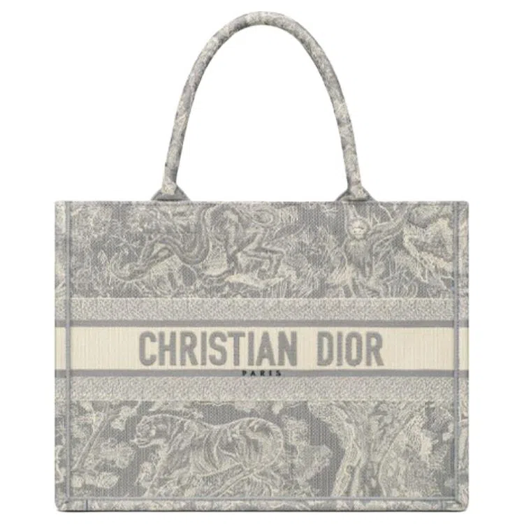 DIOR BookTote Tote
