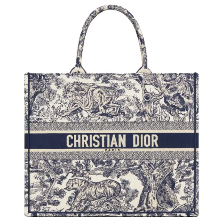 DIOR BookTote Tote