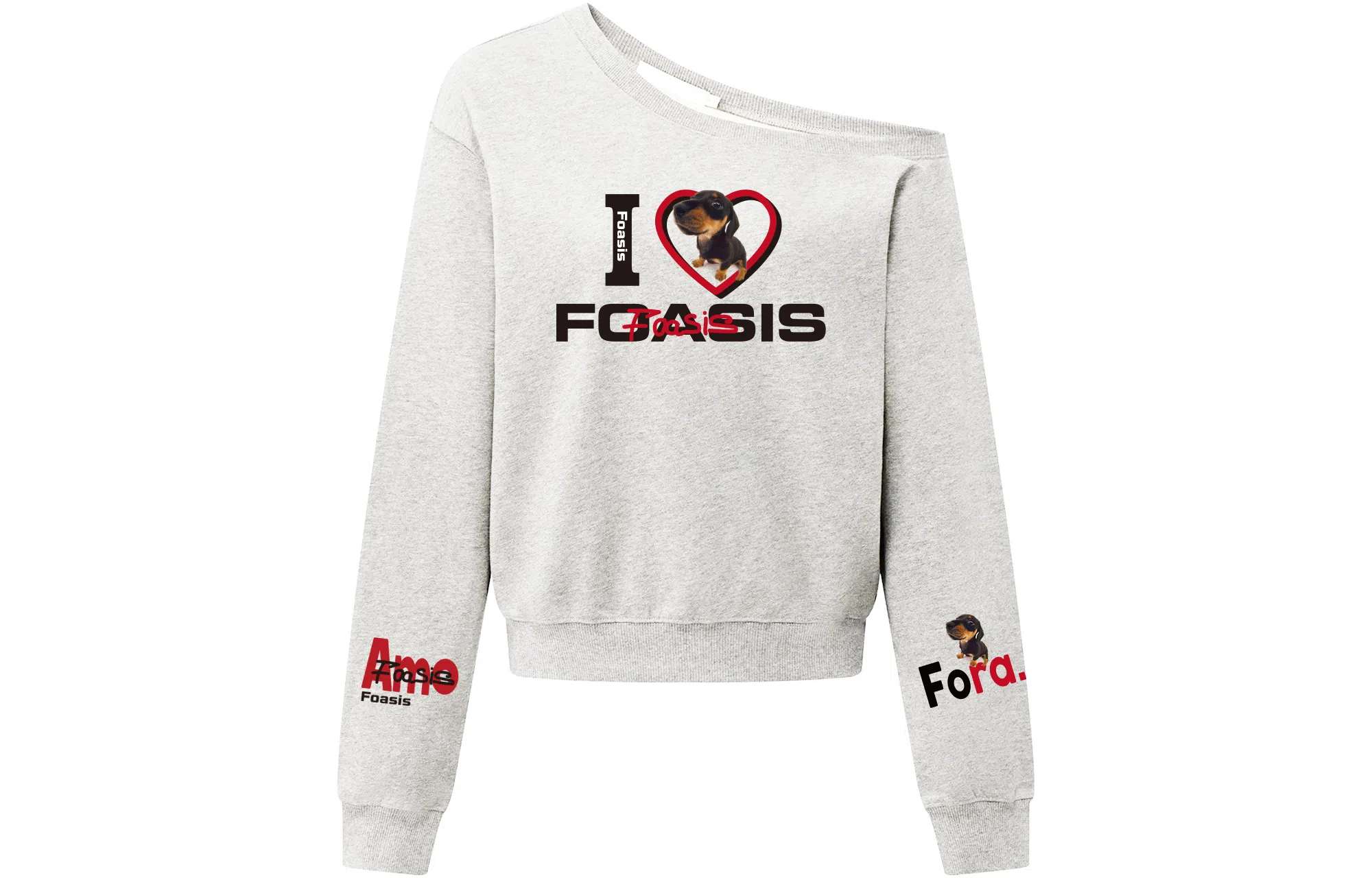 FOASIS