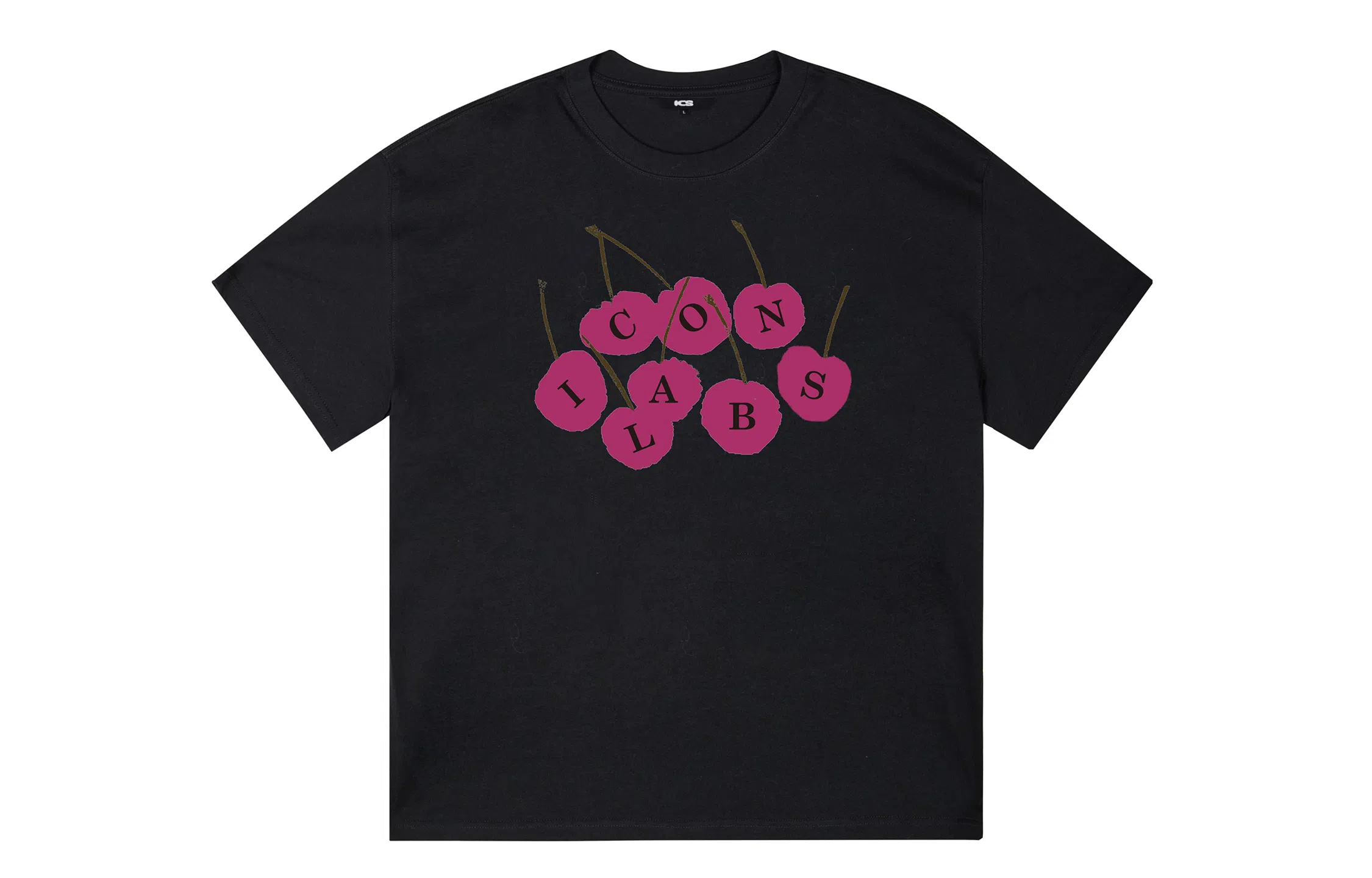 ICONS Lab ICS T