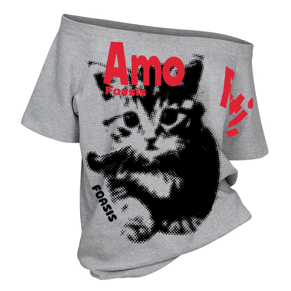 FOASIS LOGO T