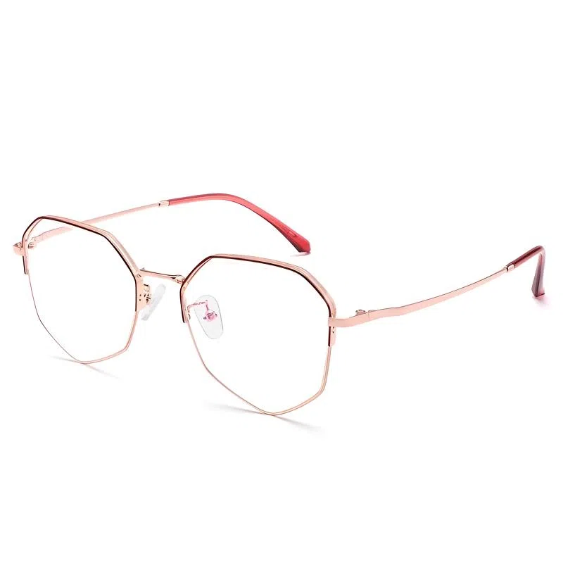 Sagawa Polygon Titanium Eyeglasses Frame