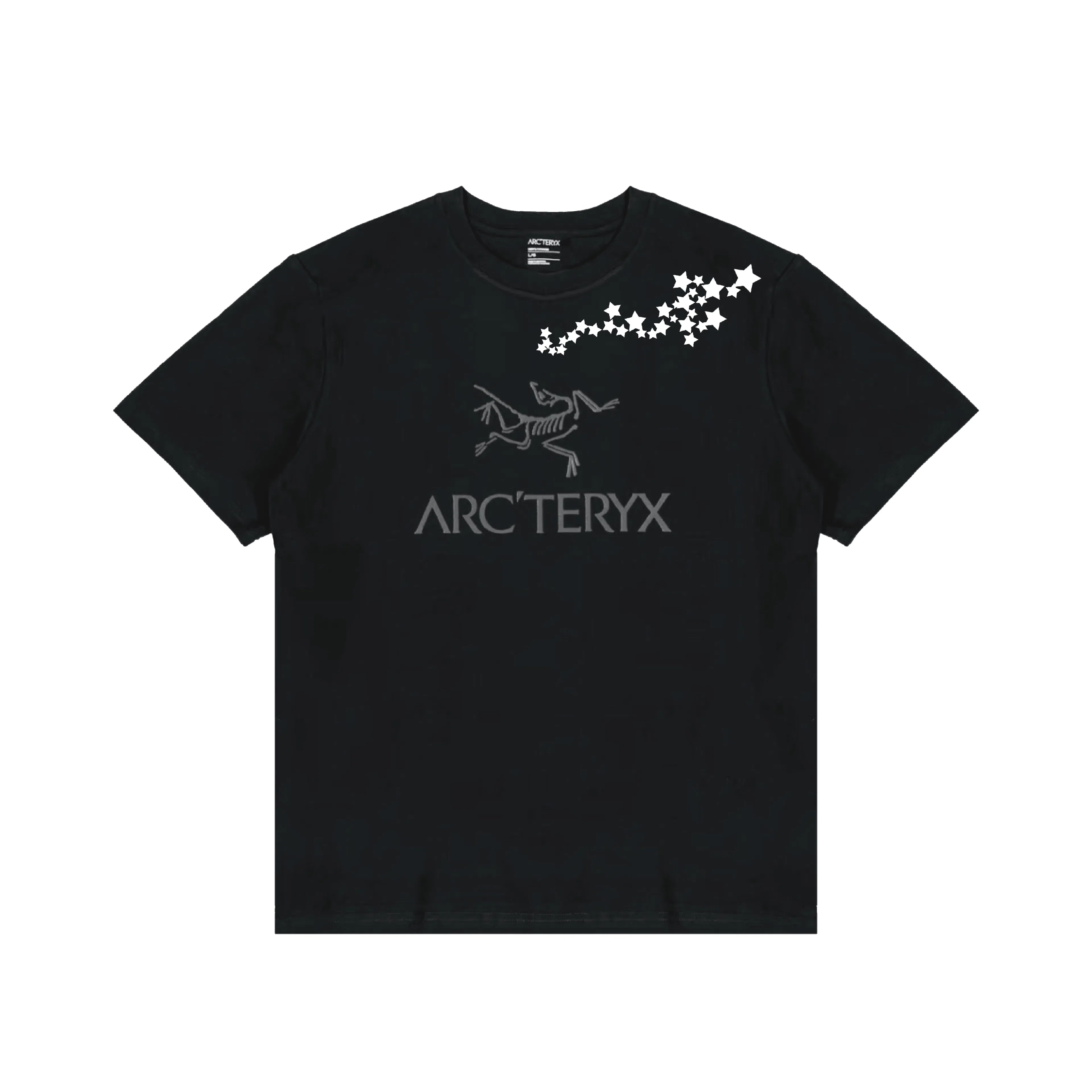 Arcteryx T