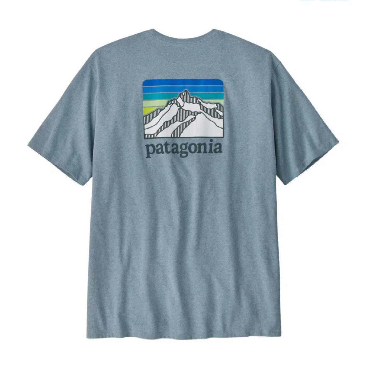 patagonia Responsibili-Tee Logo T