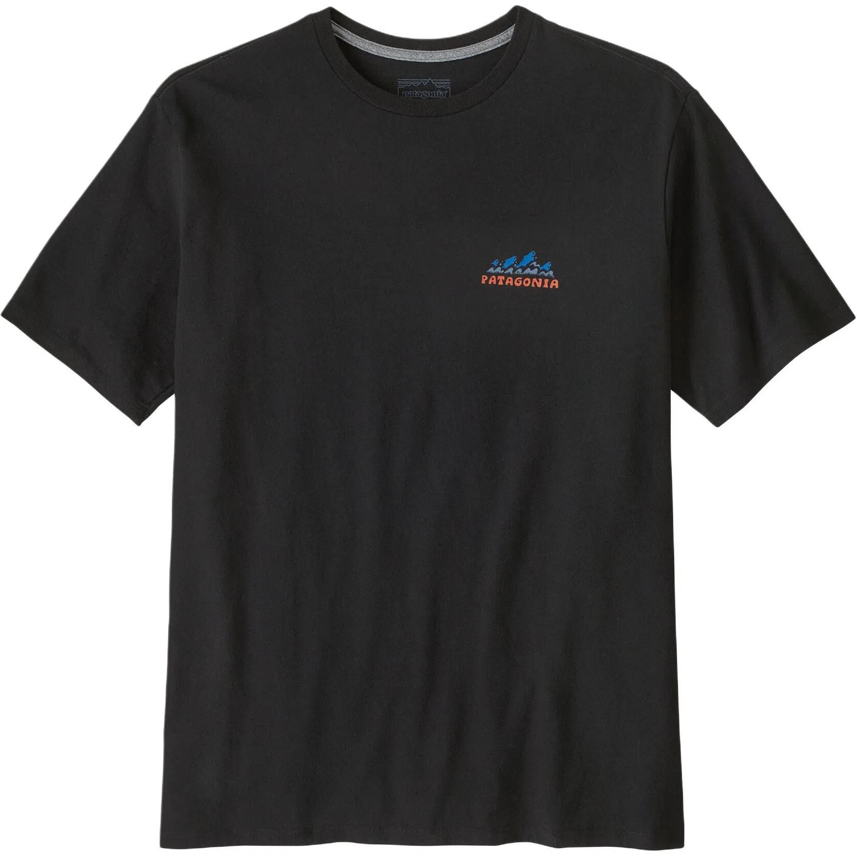 patagonia T