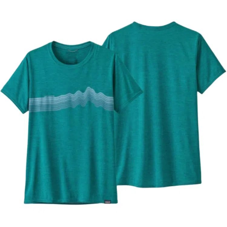 patagonia T