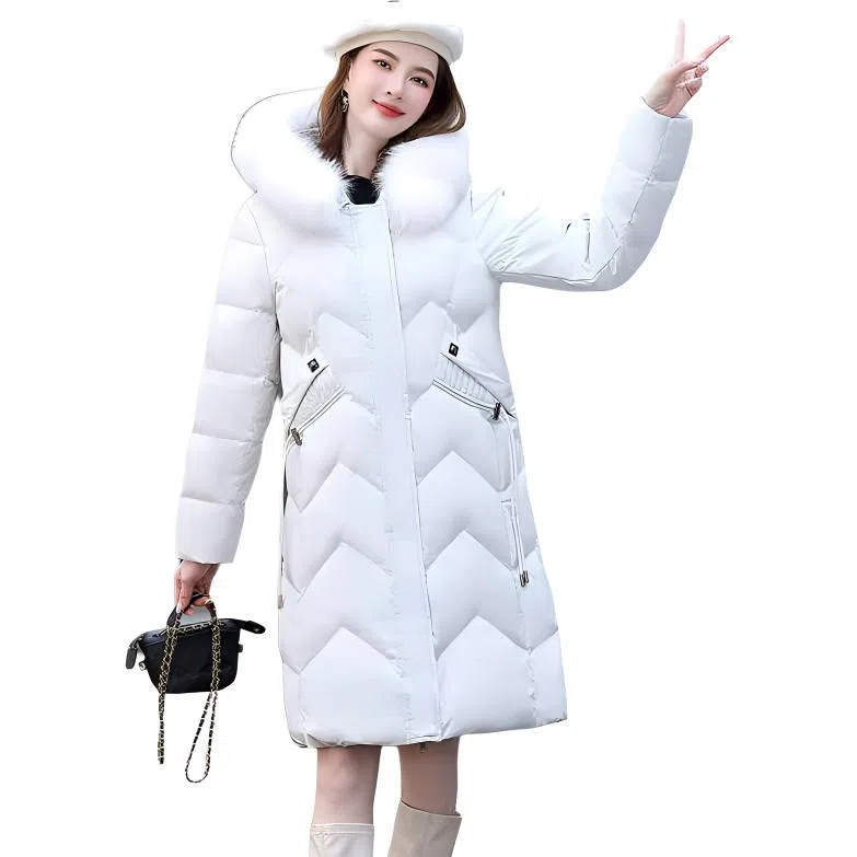 鸭鸭 纯色时尚休闲连帽舒适简约长袖羽绒服 女款