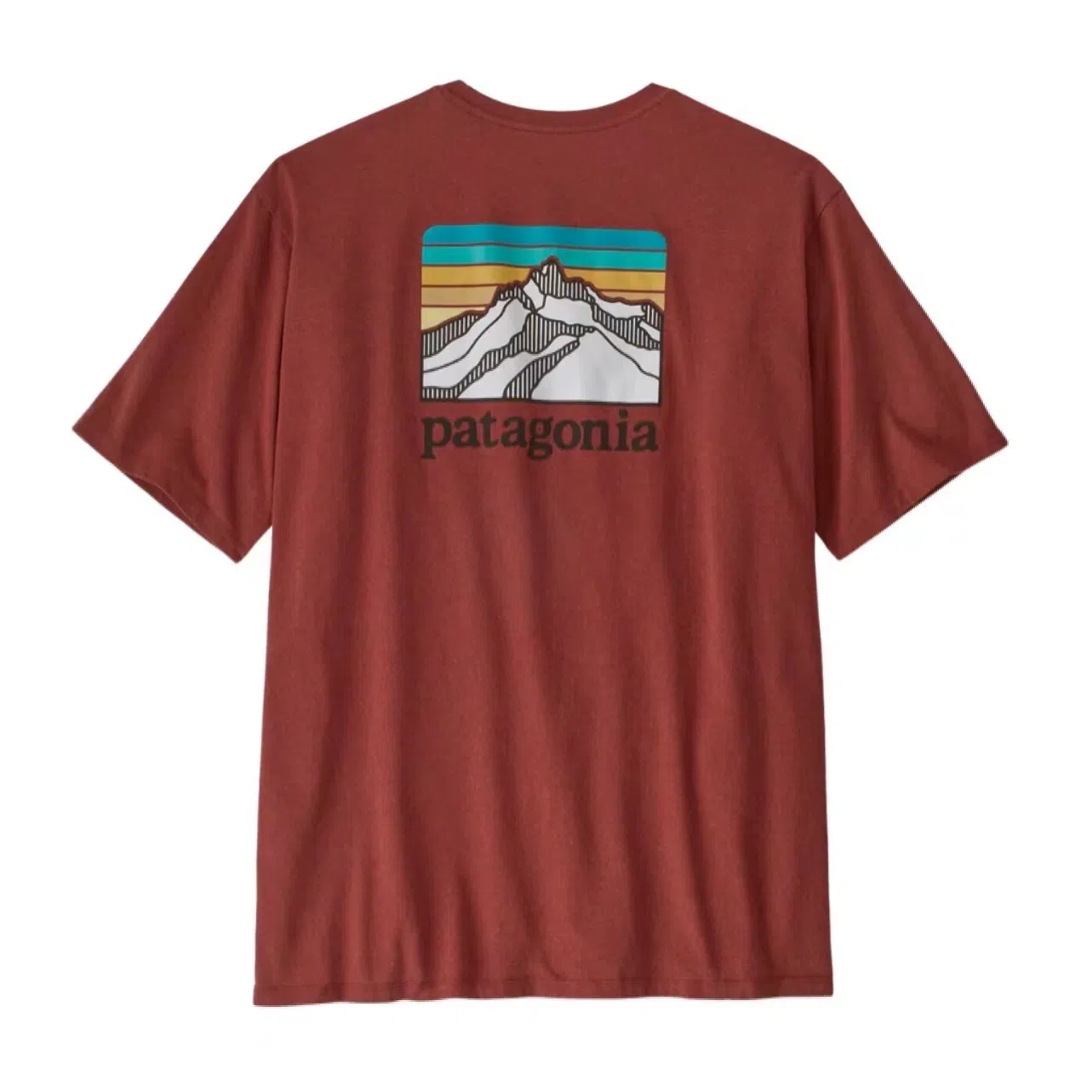 patagonia Responsibili-Tee Logo T