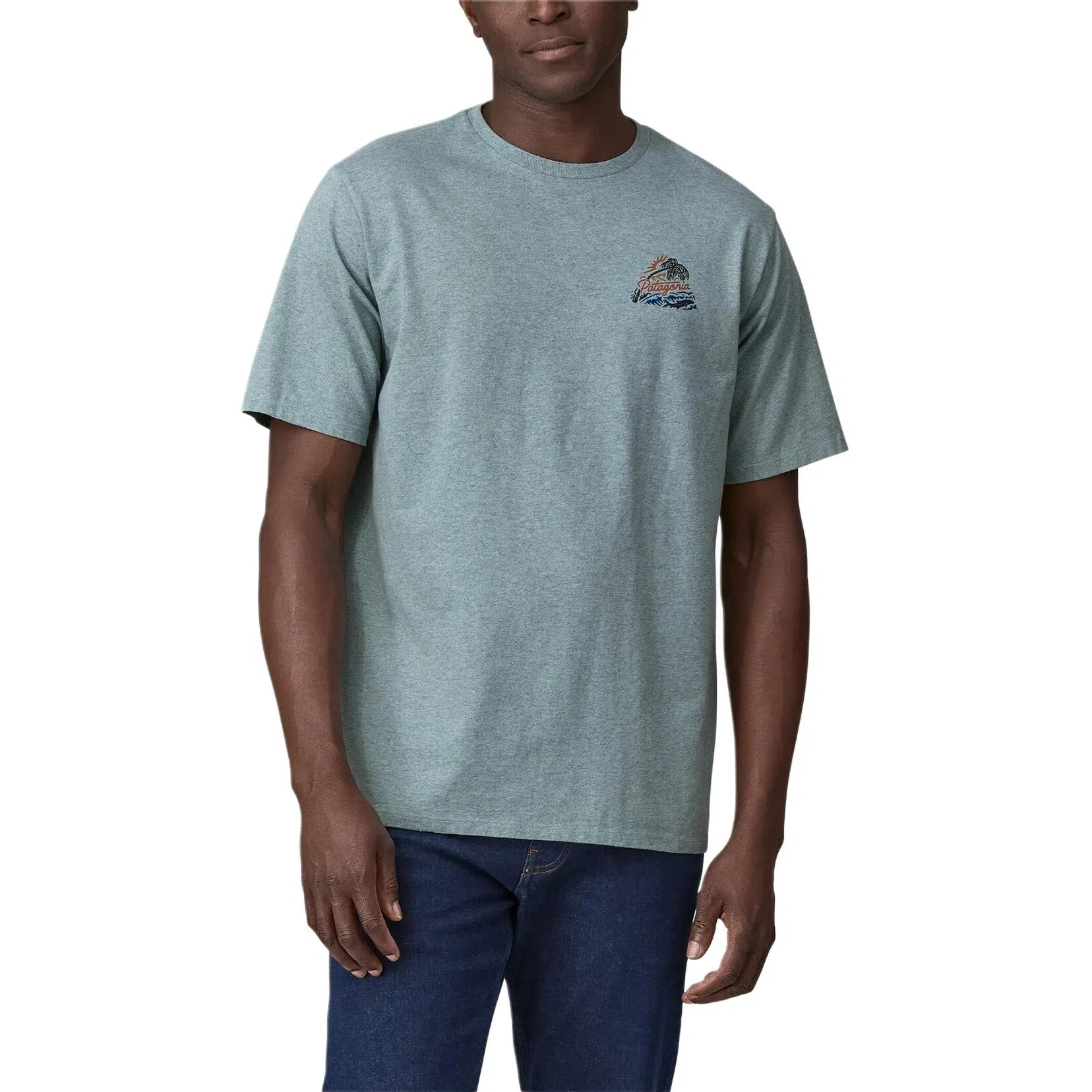 patagonia T