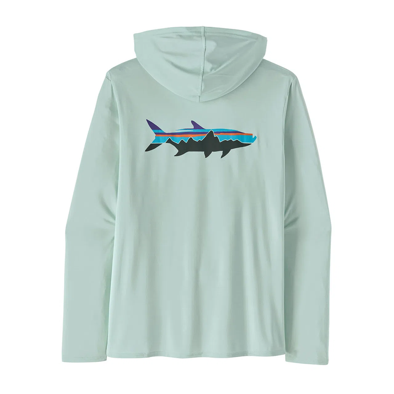 patagonia Men's Capilene Cool Daily Graphic Hoody T