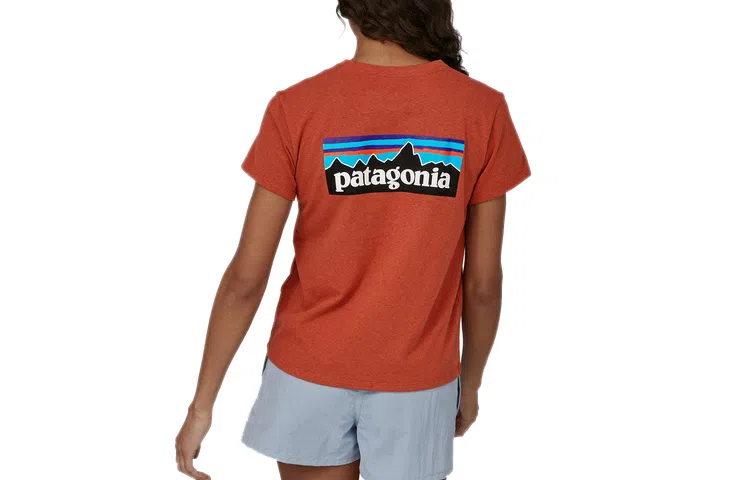 patagonia P-6 LOGO RESPONSIBILI T
