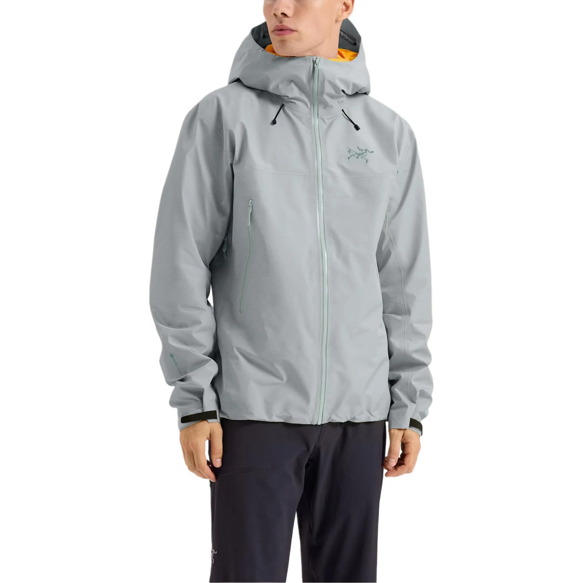 Arcteryx Beta Jacket