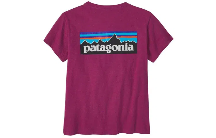 patagonia P-6 LOGO RESPONSIBILI T