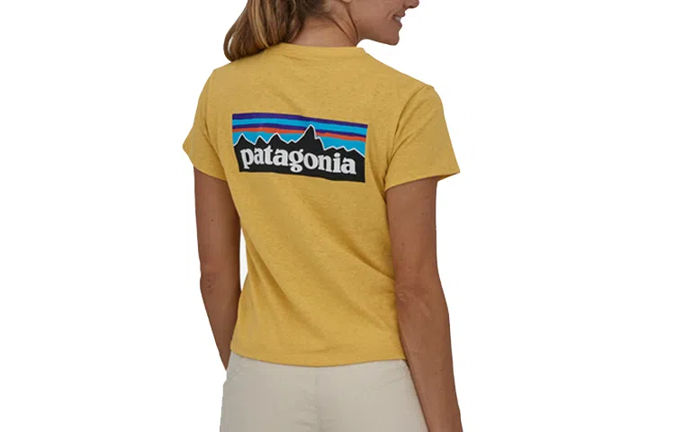 patagonia P-6 LOGO RESPONSIBILI T
