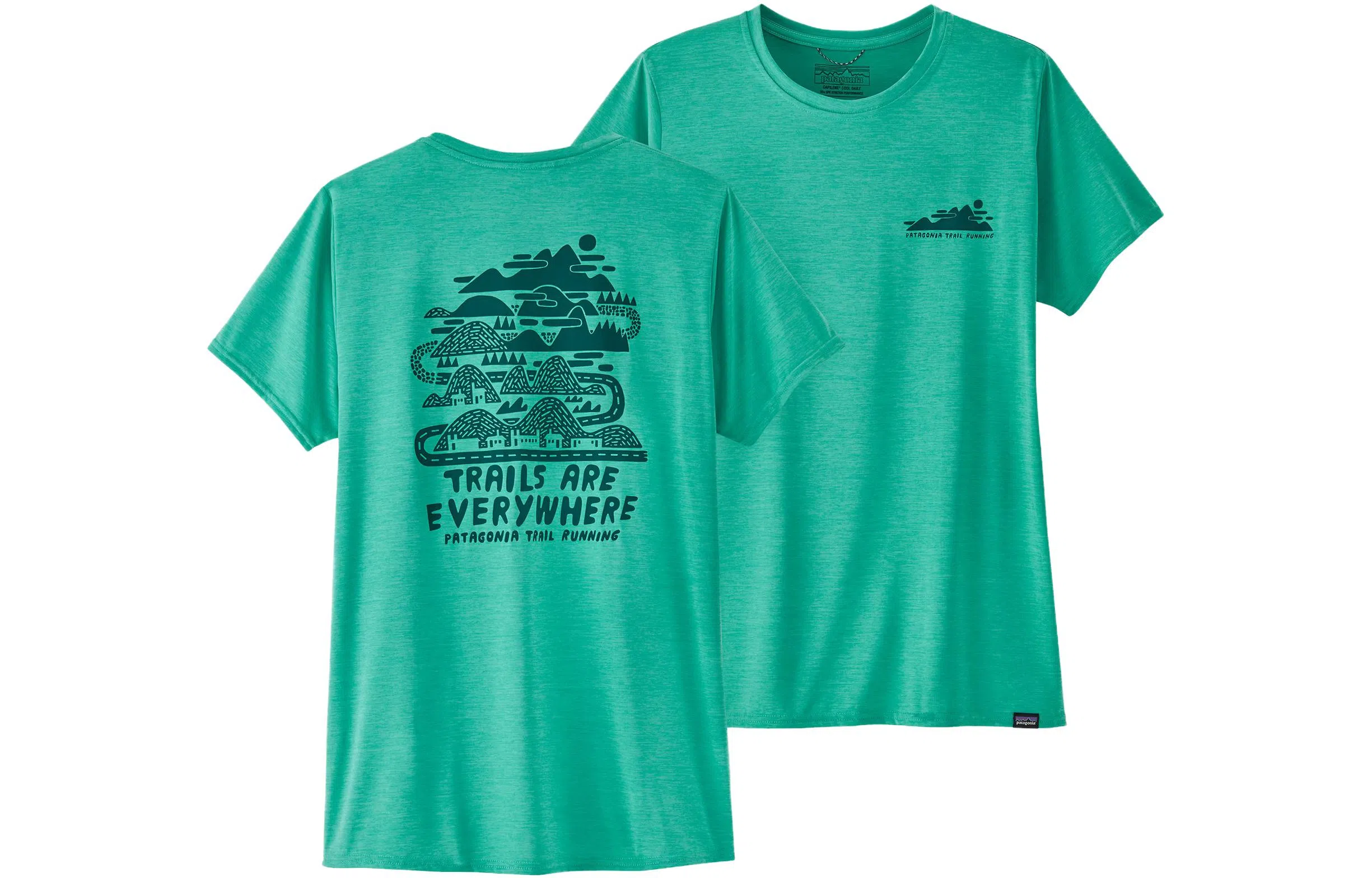 patagonia T