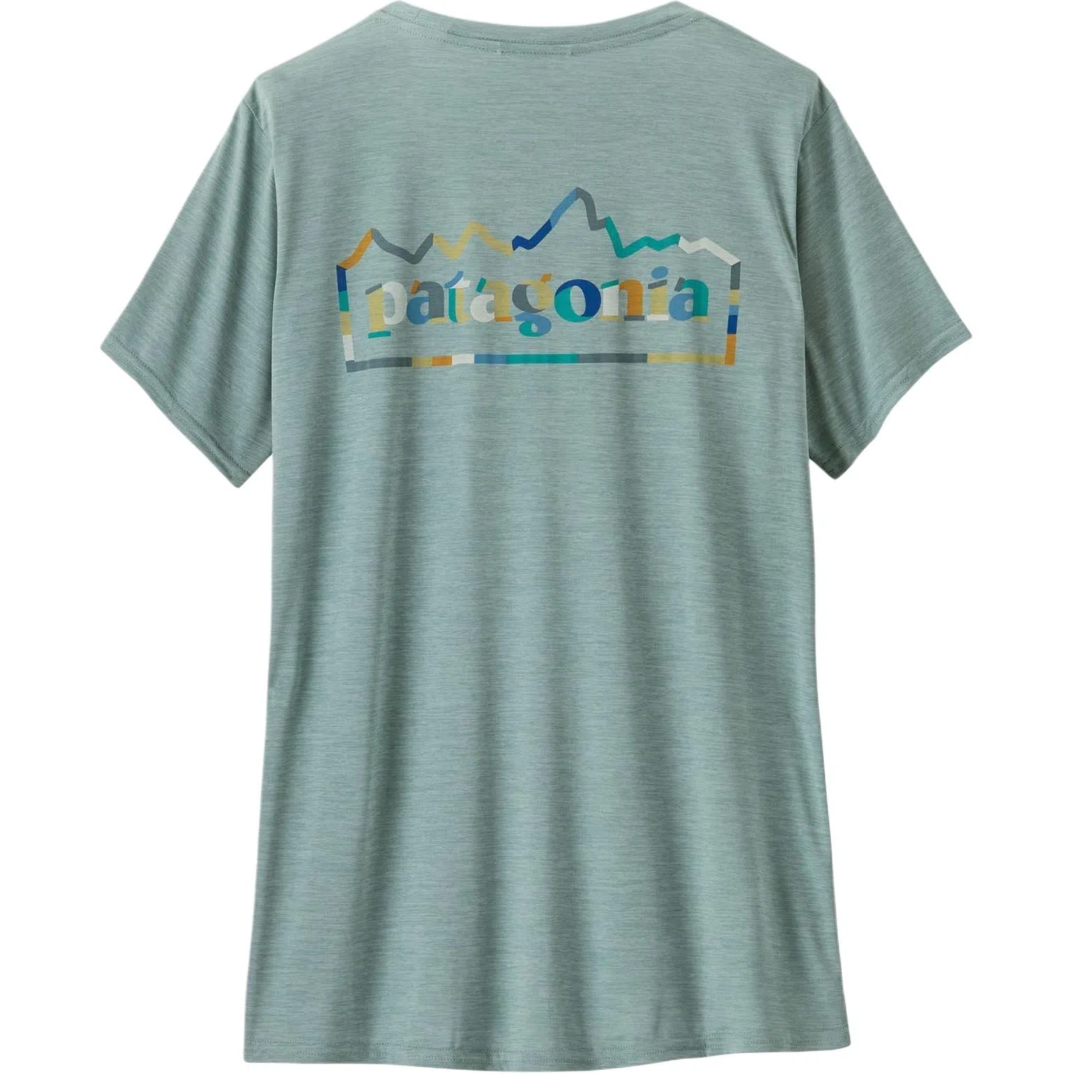 patagonia T