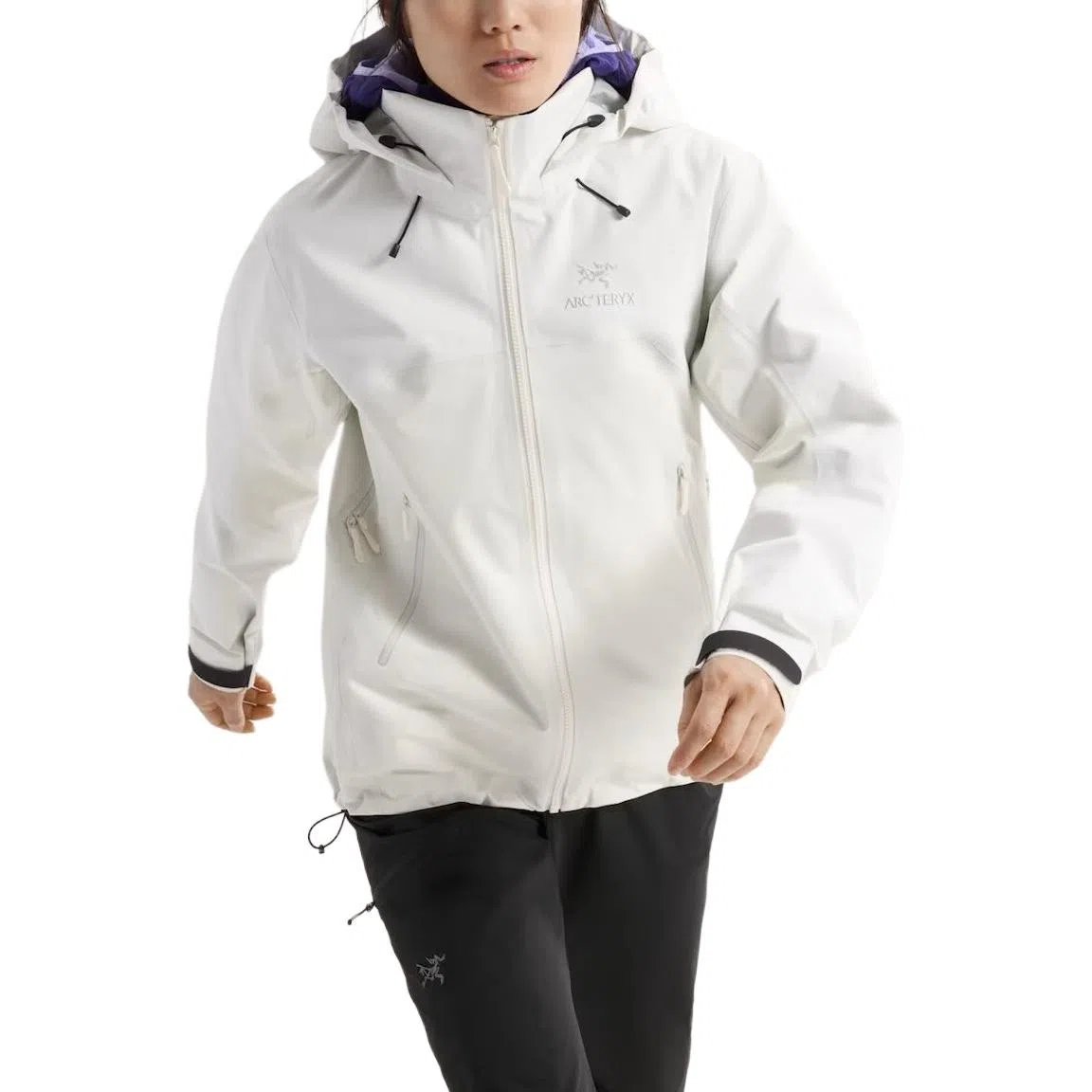 Arcteryx Beta Ar Gore-Tex