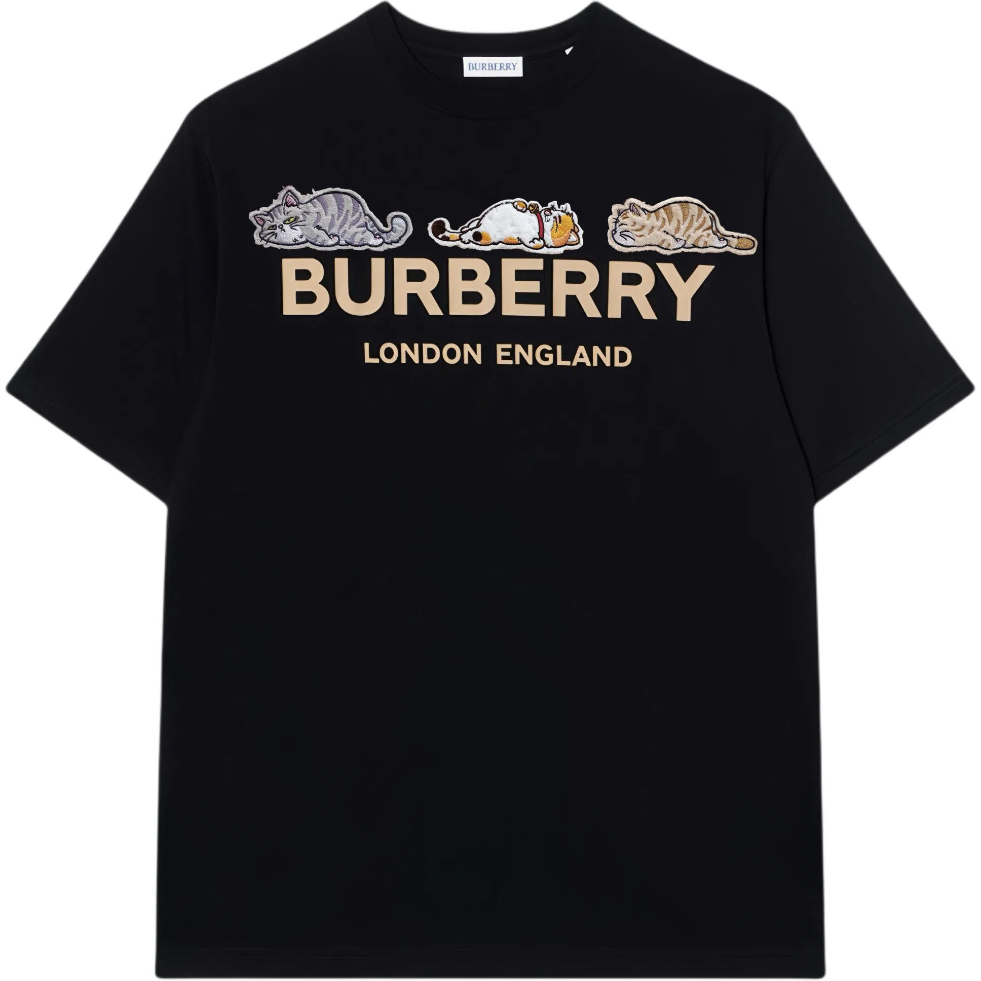 Burberry logoT