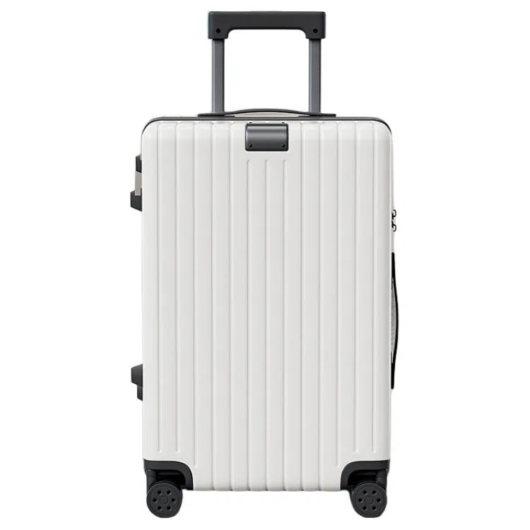 SEA LION PC 2024262228