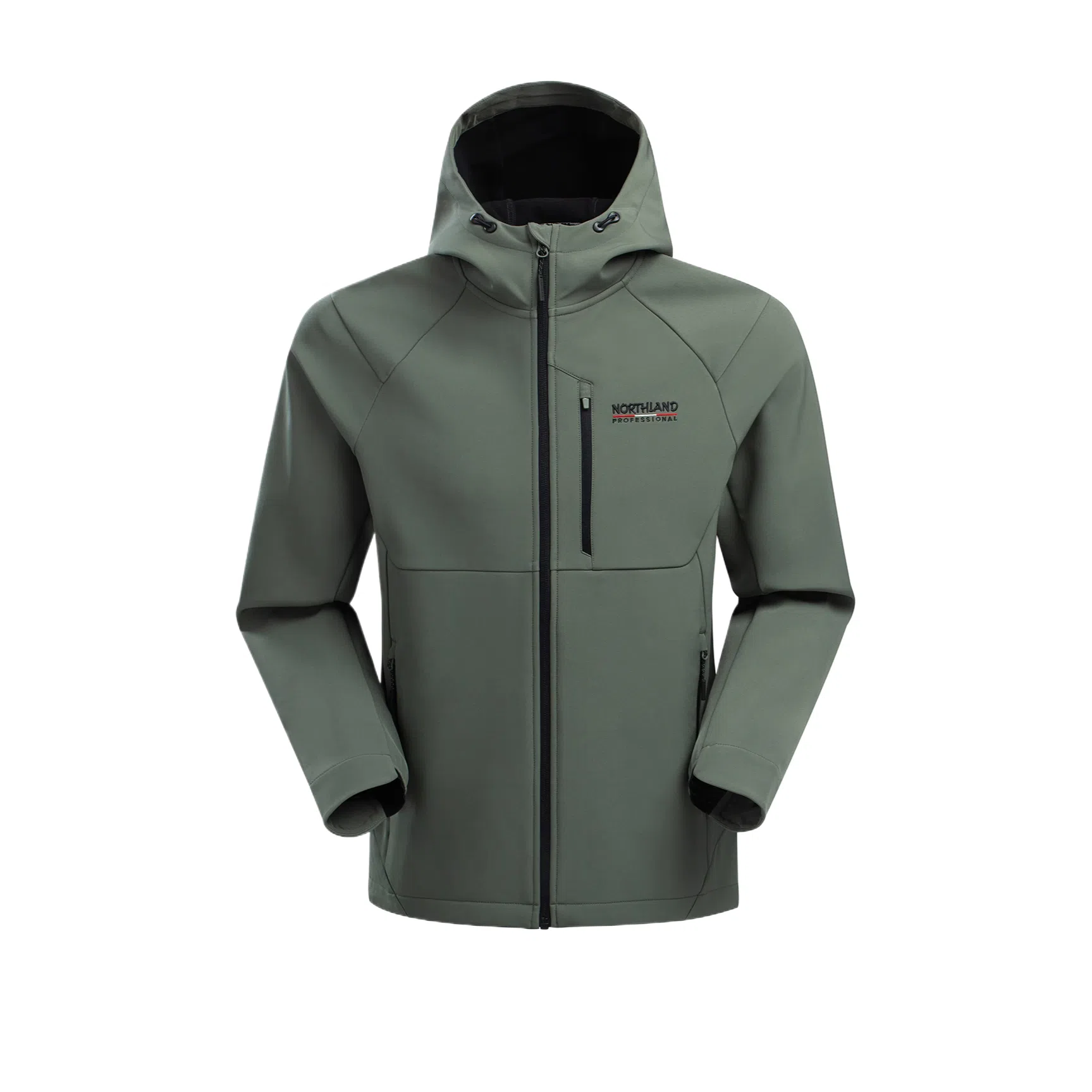 NORTHLAND PROFESSIONAL