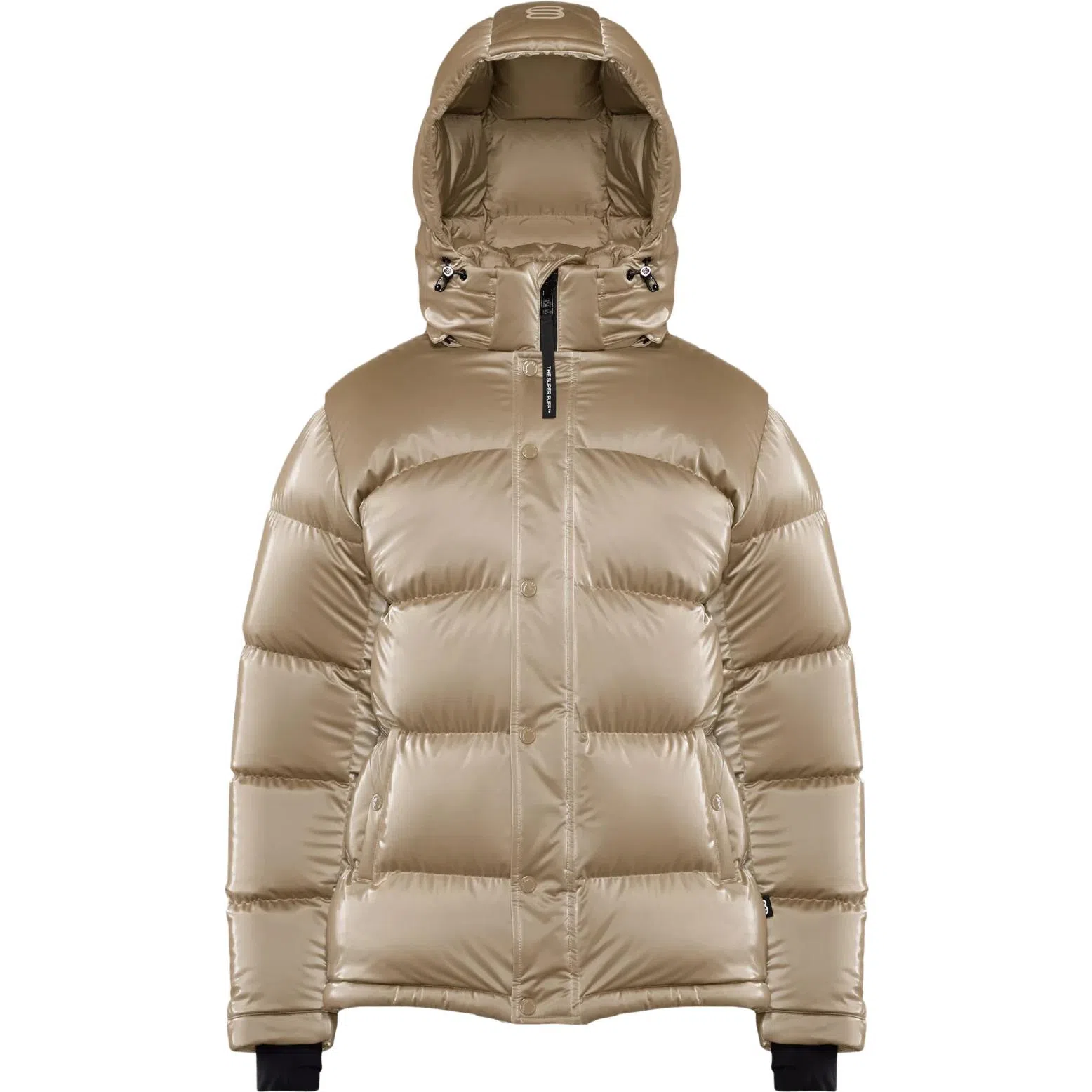 ARITZIA Super Puff Liquid Shine