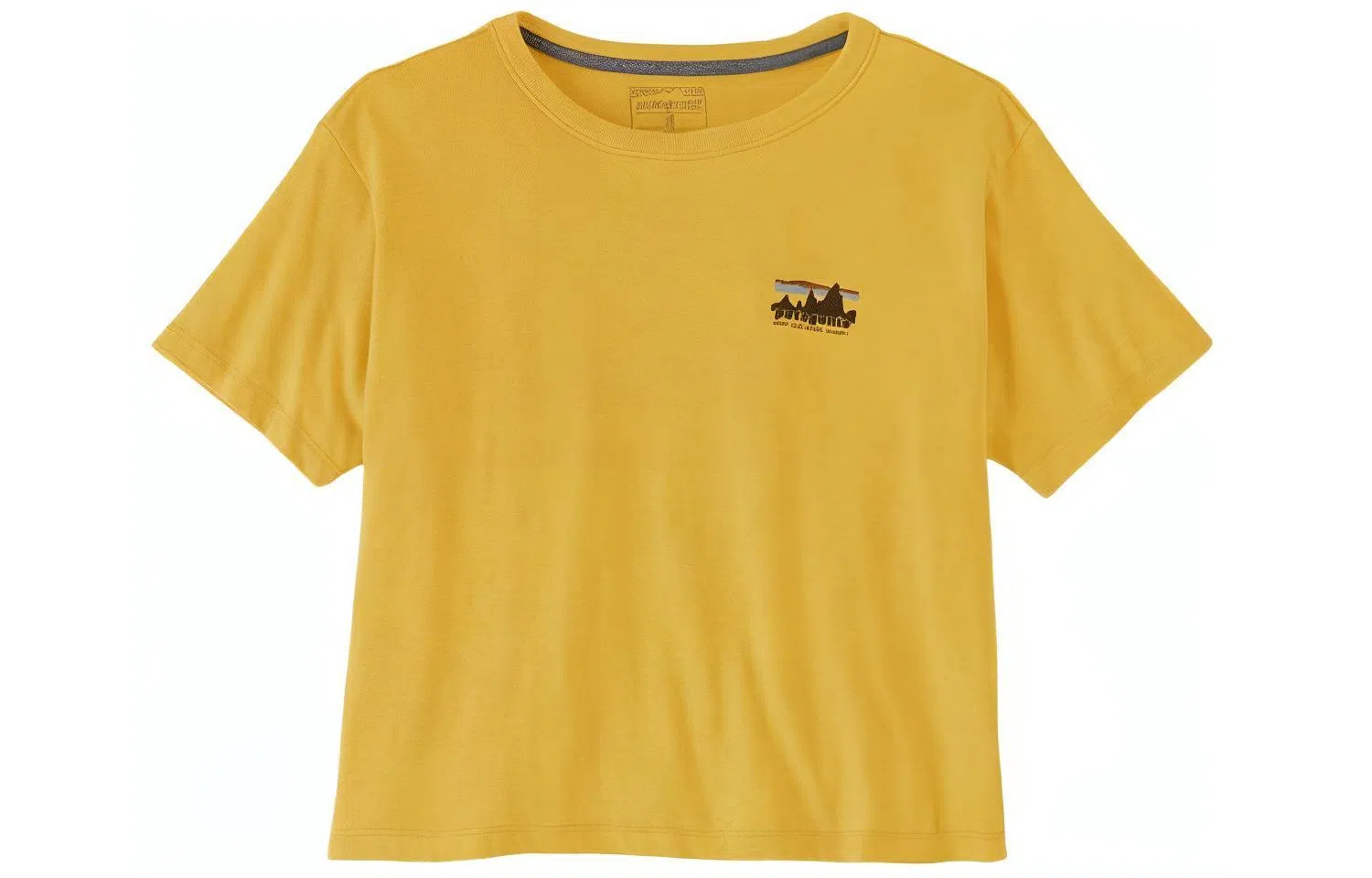 patagonia T