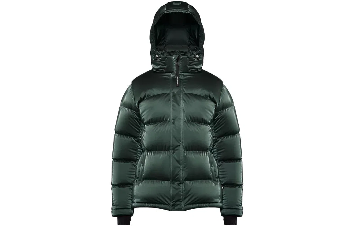 ARITZIA Super Puff Liquid Shine