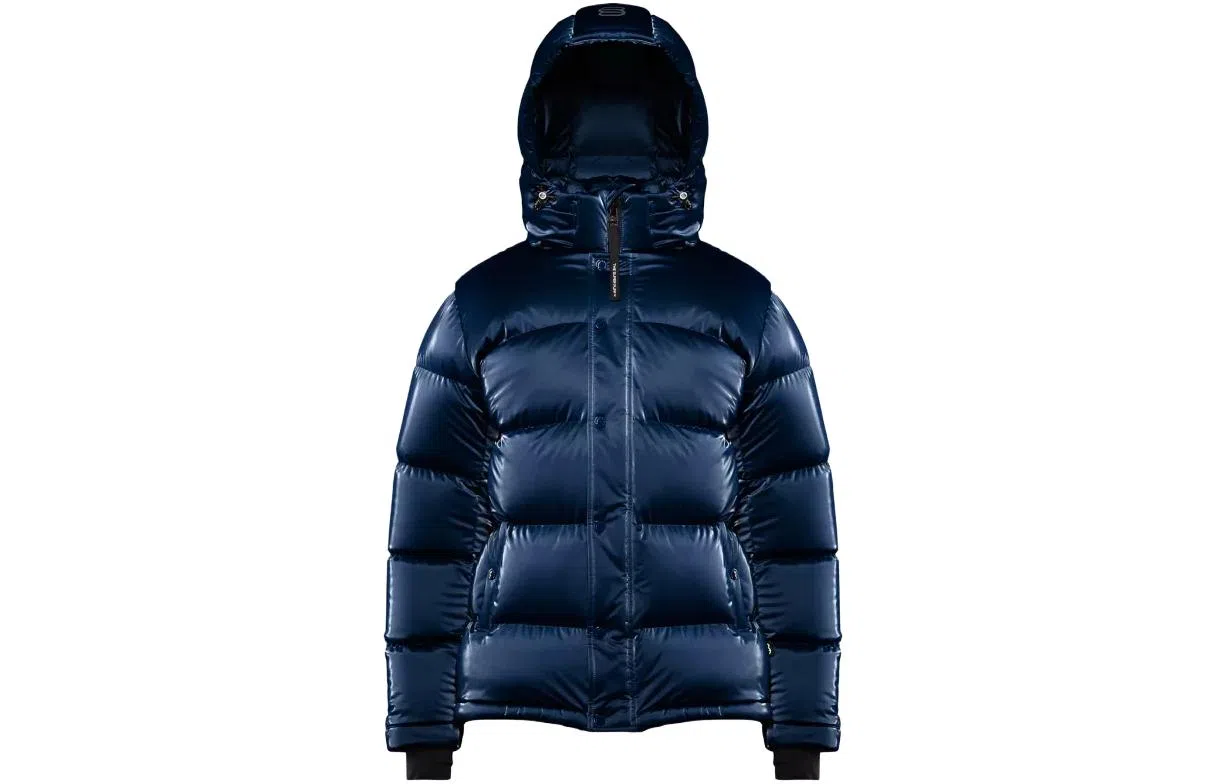 ARITZIA Super Puff Liquid Shine