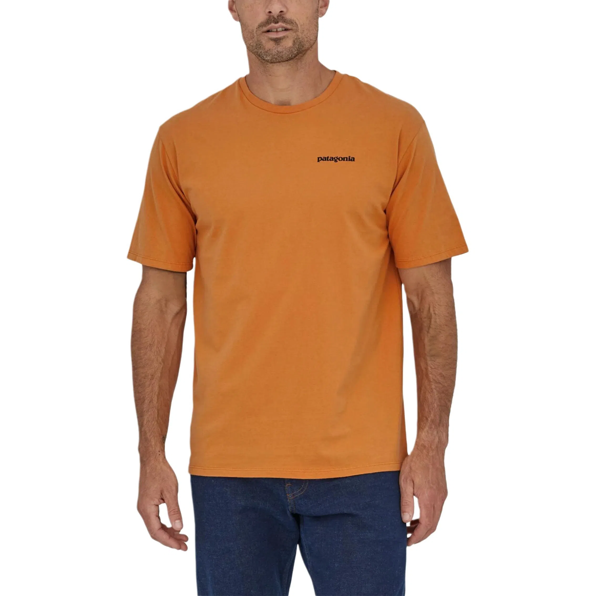 patagonia Men's '73 Skyline Organic T-Shirt LogoT