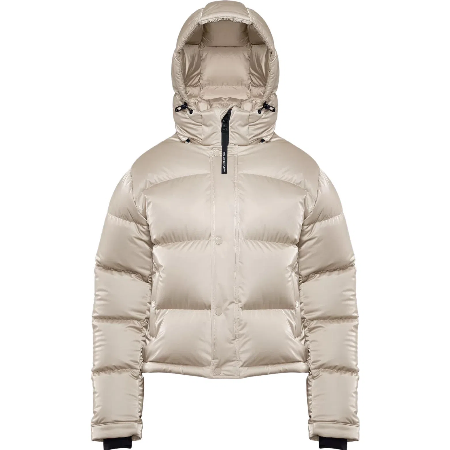 ARITZIA Super Puff Liquid Shine Shorty